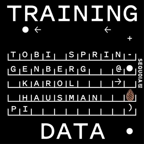 Training General Robots for Any Task: Physical Intelligence&rsquo;s Karol Hausman and Tobi Springenberg