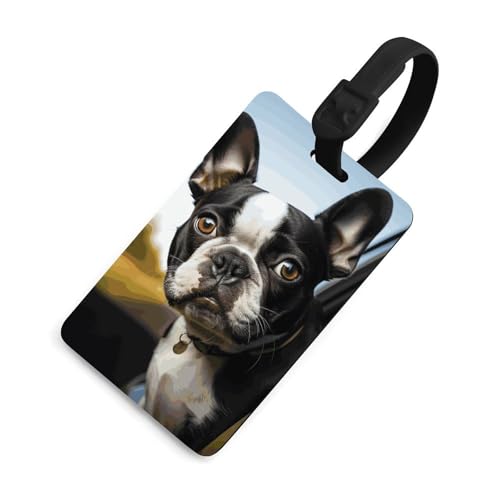 Étiquette de bagage Boston Terrier anti-regards pour protéger vos données sur valise et sac