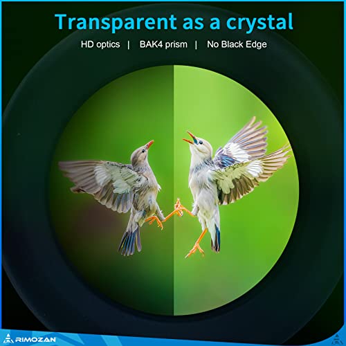 12X42 Hd Binoculars For Adults With Binocular Harness Strap And Upgraded Phone Tripod And Adapter 12X42 High Definition Binoculars For Bird Watching 12X42 Binoculars For Hunting Hiking Gifts For Men #TOP1