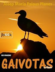 Capa de GAIVOTAS [ESTENDIDO]