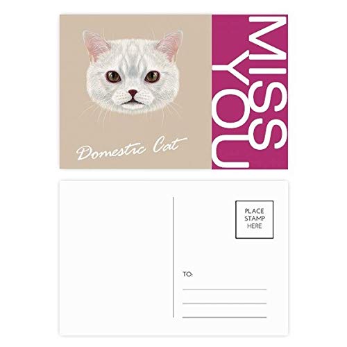 Mailing carte merci Chat Pet animal pour ne plus jamais manquer de carte postale