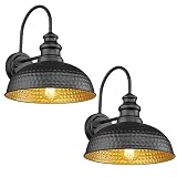 Diyel Farmhouse Outdoor Barn Light Fixtures, 12 Inch Dome Gooseneck Exterior Wall Lights, Rustic Out