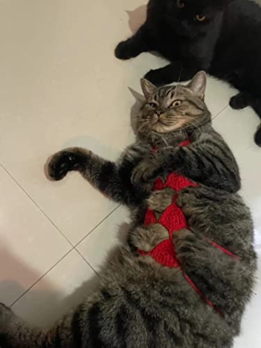 Pet Cat Bikini,Pure Handmade Cat Costume Funny Pet Clothes Small Dog Costumes Clothes(Pink, Large) #TOP7