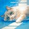 seiza�uCattitude�v�̃W���P�b�g�摜