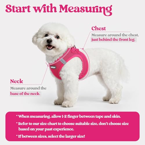 rabbitgoo Dog Harness Small Sized and Leash Set, Step in Soft Light Puppy Vest, Breathable Mesh Pet Harness, Reflective for Safe Easy Walking, Rose Red S - Image 3