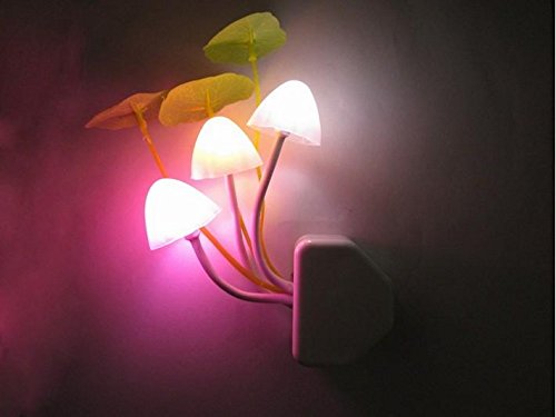 DJDesigns Custom Dreamtime 'Shroom Night-Light