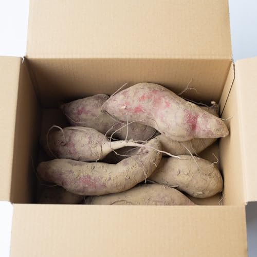 vۓct@[ _g킸L@͔̑łĂTc}C 3kg