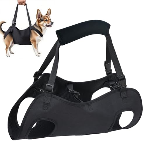 Hundehebegeschirr, Verstellbare Tragehilfe für Hunde, Hundetreppenhalterung,Hebegeschirr für Hundegeschirr für Hinterbeine, Sicherheitsgurt für Behinderte, Verletzte oder Ältere Hunde
