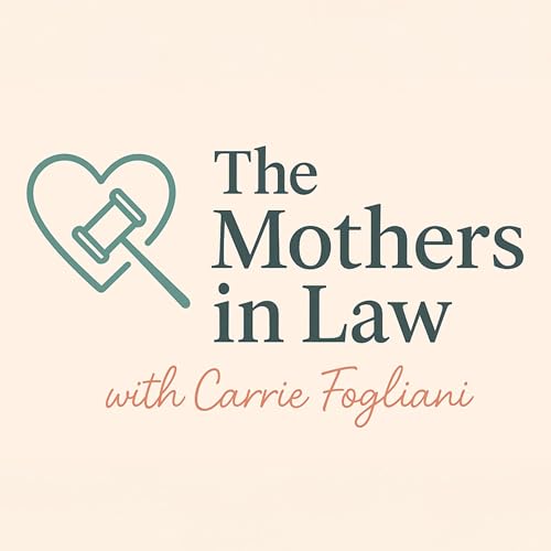 『The Mothers in Law』のカバーアート