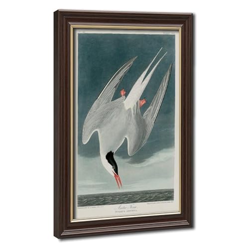 Toile Sterne arctique Audubon : sublimez un petit mur de bureau vide avec ce cadre
