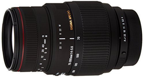 ⭐️美品⭐️SIGMA APO DG 70-300mm f4-5.6 PENTAX用 41uSLcGo0XL.jpg