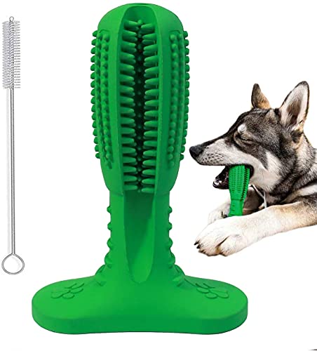 Dog Toothbrush Toy for Dog Teeth Cleansing, Dog Toothbrush Stick for Dental Care, Toothbrush Dog Toy for Chewers Cleaning, for Small Dog & Medium Breed, Dog Chew Toys for Puppy