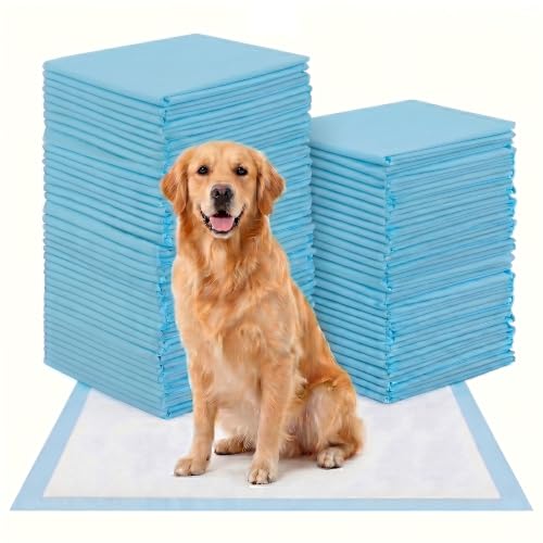 Hunde Trainingspads 60x90cm 60 Stück XXL Welpenunterlagen | Einweg Pipi Matten für Große Hunde, Auslaufsicheres Hundeklo & Inkontinenz Unterlage