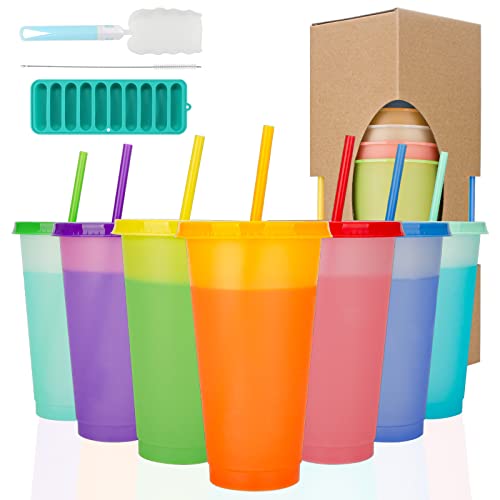 Sursip Color Changing Tumblers With Lids ,Straws ,Cleaning Brush & Ice Cube Tray - 7 Reusable Bulk Tumblers Plastic Cold Cups For Adults & Kids 24Oz Tumblers #TOP16