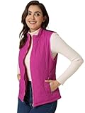 Allegra K Woman Zip Up Front Stand Collar Slant Pockets Quilted Padded Vest X-Small Fuchsia