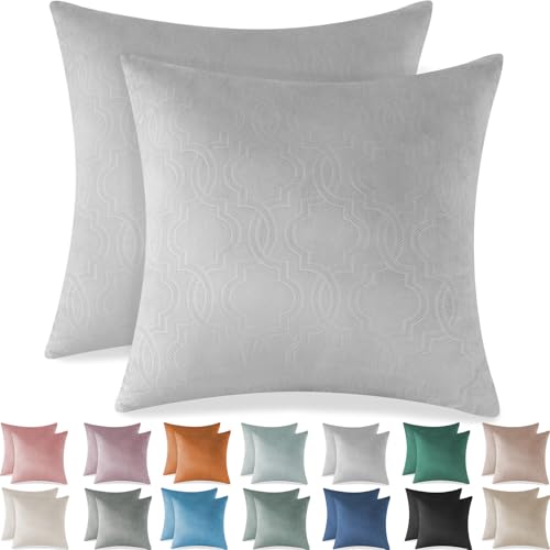 Ystyle Housses de Coussins 60X60 en Velours Lot de 2 Décoratif Canapé Taie d'oreiller Super Lisse...