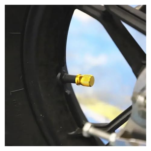 Capuchon de valve de pneu moto contre la perte de pression Suzuki SV 650 S
