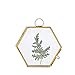 NCYP Small Wall Hanging Brass Hexagon Glass Artwork Certificate Photo Picture Display Frame Geometric Ornament Plant Specimen Clip Modern Vertical Decor Card Holder 3.5 inchs, Glass Frame only
