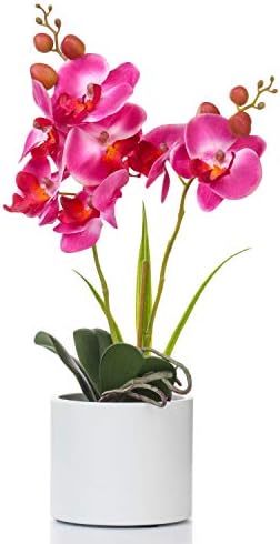 Jusdreen Artificial Flower Bonsai with Vase Vivid Orchid Flower Arrangement Phalaenopsis Flowers Pot for Home Office Décor Table Centerpiece House Decorations(Ceramic Pot/Purple Orchid)