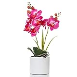 Jusdreen Artificial Flower Bonsai with Vase Vivid Orchid Flower Arrangement Phalaenopsis Flowers Pot