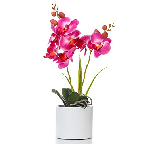 Alyphyly Artificial Flower Bonsai with Vase Vivid Orchid Flower Arrangement Phalaenopsis Flowers Pot for Home Office Décor Table Centerpiece House Decorations(Ceramic Pot/Purple Orchid)