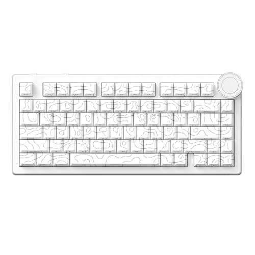 EPOMAKER AJAZZ AK820 V2 Clavier Gamer M&eacute;canique Tri-Mode,...