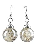 Ohrringe 925 Sterling SIlber - Echte Pusteblume - Hängend - Verschluss mit Ohrstopper