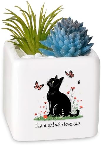 BJDAMAI Black Cat Succulent Planter Flower Plant Pot Small, Gifts for Women Teens Girls Kids, Cat Lovers Themed Stuff Accessories Things Decor Merch, Home Office Table Desk Decoration! BJDAMAI Black Cat Succulent Planter Flower Plant Pot Small, Gifts for Women Teens Girls Kids, Cat Lovers Themed Stuff Accessories Things Decor Merch, Home Office Table Desk Decoration!