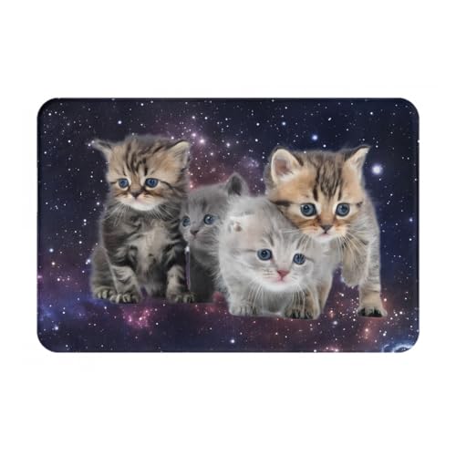 �L�� �����`���֊���~�߃��O�}�b�g �h���I�[���V�[�Y�����g�[�}�b�g �h���q�������|���Ղ��}�b�g 40x60cm