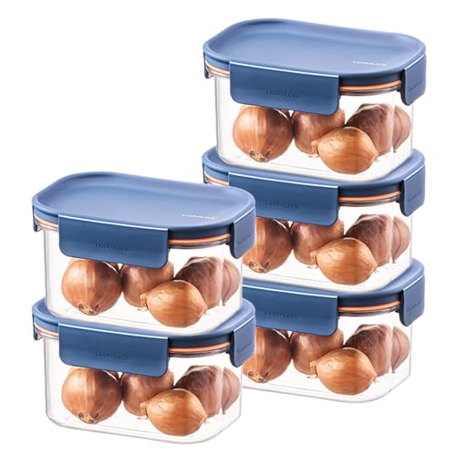 Lock & Lock Bisfree Modular Containers