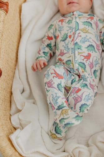Image of Copper Pearl Zip-Up Footie Baby Pajamas - Soft Newborn Onesies for Boys & Girls, Tag-Free with Two-Way Zipper Baby Sleepers for Newborn - 24 Months, Dinosaurs of Jurassic Park