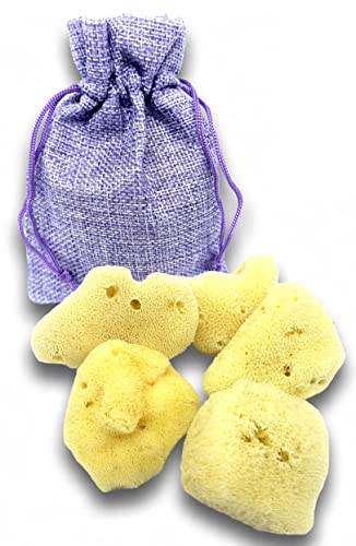 CRIGEMA - Esponja natural de mar Cover