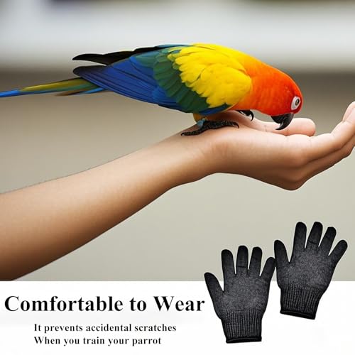 FAMKIT Vogeltraining Anti-Biss Handschuhe, Vogeltraining Anti-Biss Handschuhe Kleintiere Handling Handschuhe Kauen Schutzstahldraht Handschuhe