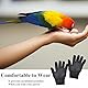 FAMKIT Vogeltraining Anti-Biss Handschuhe, Vogeltraining Anti-Biss Handschuhe Kleintiere Handling Handschuhe Kauen Schutzstahldraht Handschuhe