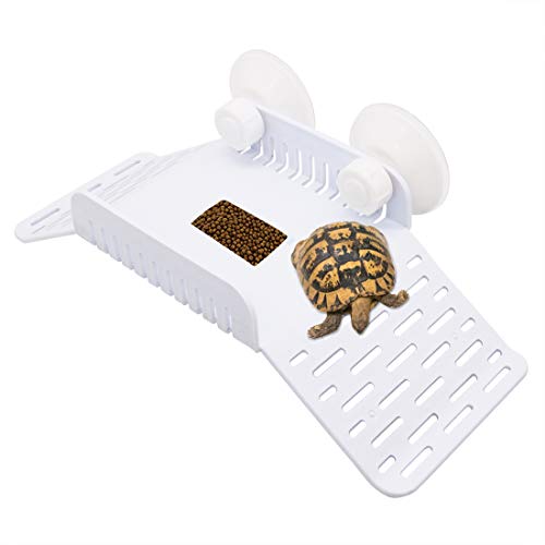 Together-life Turtle Basking Floating Platform Turtles Climbing Dock Crawling Rest Island Aquarium F Together-life Turtle Basking Floating Platform Turtles Climbing Dock Crawling Rest Island Aquarium F
