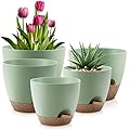 QRRICA Plant Pots 10/9/8/7.5/7 Inch Self Watering Pots, Set of 5 Plastic Planters with Drainage Holes and Saucers,Plastic Flower Pots,Nursery Planting Pot for Indoor Out Door Plants?Green?