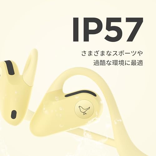 Amazon.co.jp: LIBRATONE (リブラトーン): イヤホン