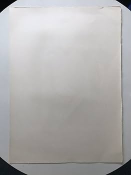 ★J5★古沢岩美「レダ」リトグラフ　限定品 Amazon.co.jp: J5古沢岩美「レダ」リトグラフ 限定品 直筆サイン