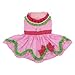 Doggie Design Watermelon Dress Medium