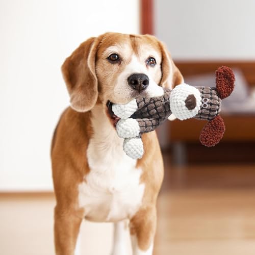 JunD Juguete para Perros 2025 – Peluche Interactivo para Cachorros y Perros Pequeños o Medianos con Chirriador y Tejido Resistente, Mordedor y Cojín de Compañía 25,5 x 13,5 cm - imagen 7