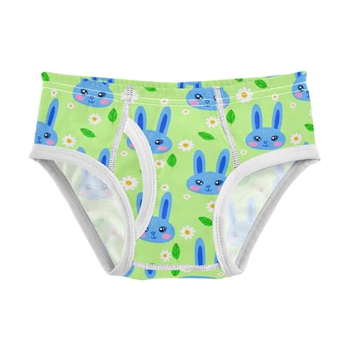 Cute Bunny Rabbit Flowers Floral Green Toddler Boy's Underwear 2T 2301878