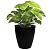 Elly Décor 17 inch Planter for Garden with Drainage, Large Round, Lightweight & Extremely Durable, Deck Indoor/Outdoor Plastic Pot, 17"x15"x9", Black