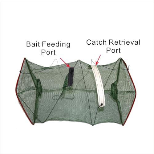 RICAUSPISH 2 Pack Fishing net Trap Foldable Crawfish Bait Trap nets Shrimp Bait Trap Nets Minnow Trap Crab Trap Equipped with 19.7ft Nylon Rope Winding Board Floating Ring and Ground Plug - Thumbnail 3