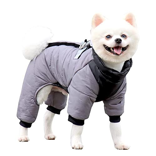 ICOUCHI  H~ Ȃ p[J[  h p[X R[g hbOEFA _EWPbg ^ h h  ᕞ gCv[h ` m U