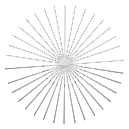 Ciieeo 20Pcs Stainless Steel Bbq Skewers Flat Reusable Grilling Sticks for Outdoor Parties Camping Picnics Bbq Tools