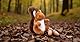 Zappi Co Eichhörnchen Kuscheltier (15 cm) – 100% recyceltes, umweltfreundliches Plüschtier – superweich & anschmiegsam – für Neugeborene, Babys & Kleinkinder