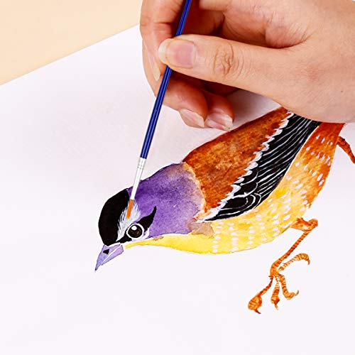 NATUCE 30PCS Pennelli da Pittura per Bambini