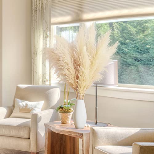 Pampasgras Groß, 6 Stück Pampasgras Deko Pampasgras Getrocknet 100cm Pampasgras Trockenblumen XXL Blumen Beige Natürliche für Wohnzimmer Hochzeits Boho Deko