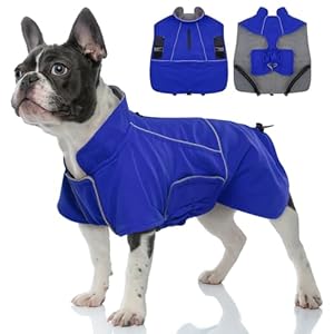 Migohi dog waterproof jacketmedium dog coatwarm dog jacketmedium dog jacket for hiking campingjacket for dogdog coats for schnauzerjack russell terrierdog jackets for medium boys girlsmblue  urban country home decor