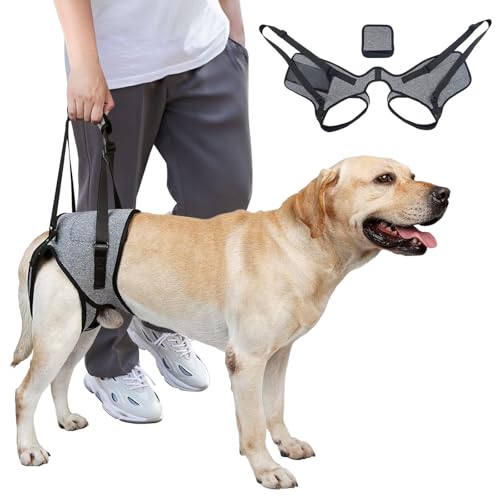 Dog Lift Harness, Dog Sling for Medium Large Dogs, Adjustable Dog Support Harness for Back Legs, Comfy Design Pet Harness with Padded for Elderly, Injured, Arthritic, Senior, Disabled Dogs?M?